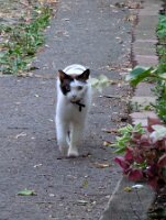 PXL_20250815_212749847