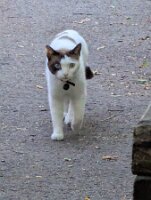 PXL_20250815_212754448