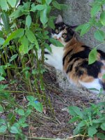 PXL_20250815_213000941