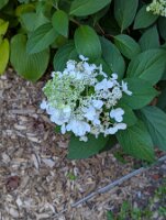 PXL_20250815_213116495