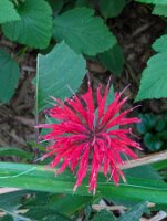 PXL_20250815_213150678