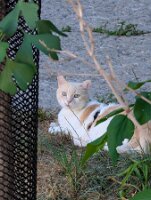 PXL_20250815_213307428