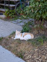 PXL_20250815_213339643