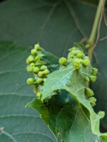 PXL_20250815_214916392