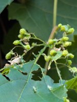 PXL_20250815_214919859