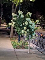 PXL_20250819_072715806