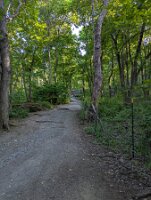 PXL_20250821_214054695