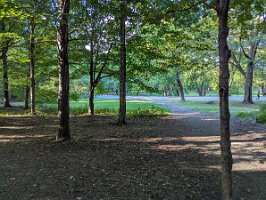 PXL_20250821_214100050