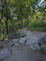 PXL_20250821_214532102