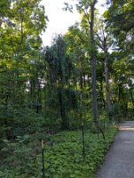 PXL_20250821_214643494