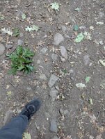 PXL_20250821_232257352