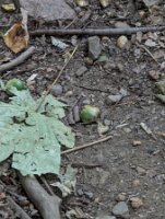 PXL_20250821_232313911