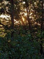 PXL_20250821_233356288