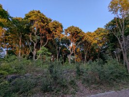 PXL_20250821_233626713