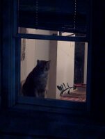 PXL_20250831_023559496.MP