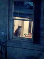 PXL_20250831_023606901.NIGHT