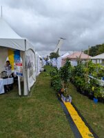 PXL_20250906_175145667