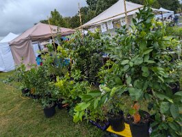 PXL_20250906_175154277