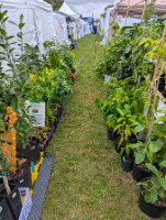 PXL_20250906_175201071