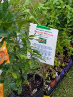 PXL_20250906_175208624