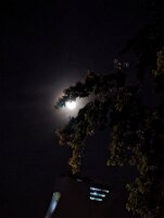 PXL_20250907_014453194