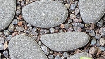 PXL_20250924_205254059.PORTRAIT.ORIGINAL