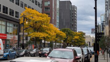 PXL_20251008_184447781.MP