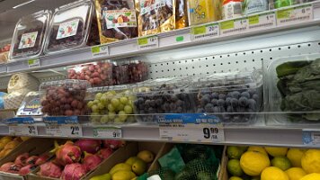 PXL_20251008_190421960