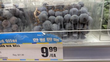 PXL_20251008_190425440