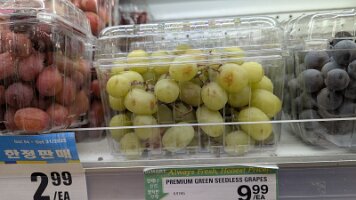 PXL_20251008_190428721