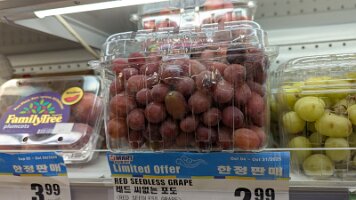 PXL_20251008_190430898